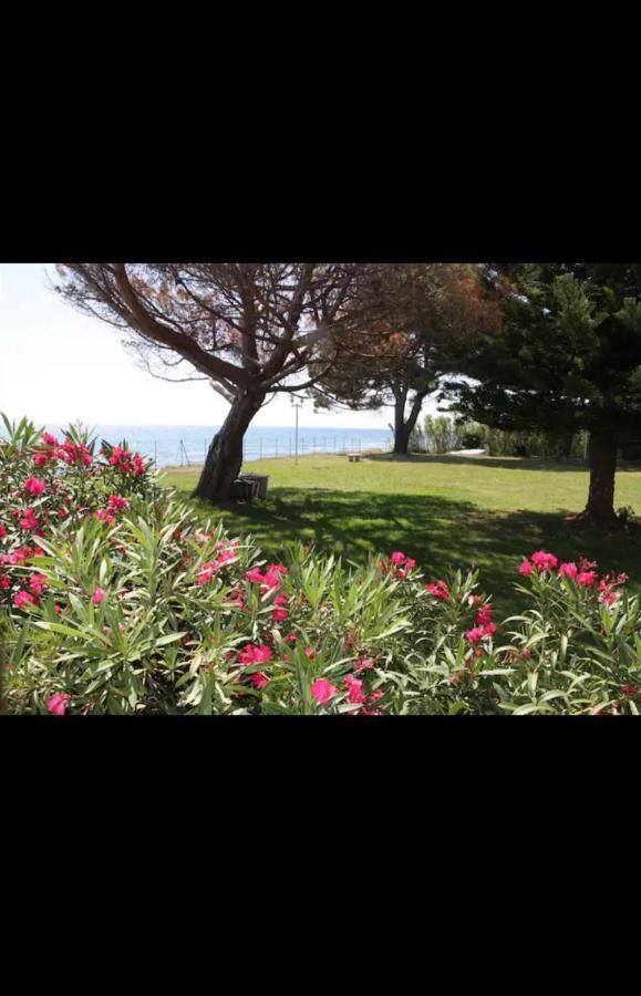 Chez Celine & Rudi Apartment Moriani Plage Exterior foto
